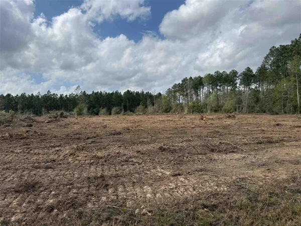 $60,000 | 0 Wesley Coleman Road, Longville, LA 70652