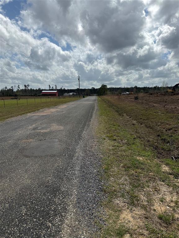 0 Wesley Coleman Road Longville, LA 70652 - Photo 2 of 3