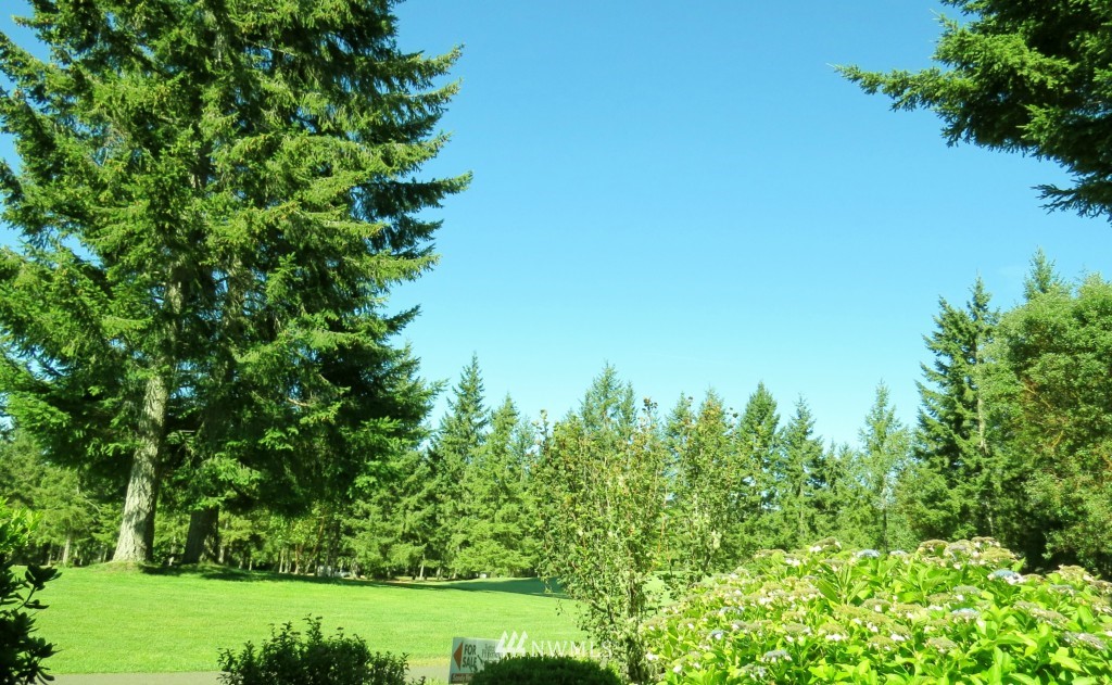 160 East Soderberg Road, Unit 13 Allyn, WA 98524 - Photo 3 of 18
