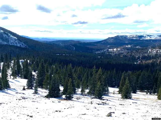 $420,000 | 70 Encampment Wy, Encampment, WY 82325