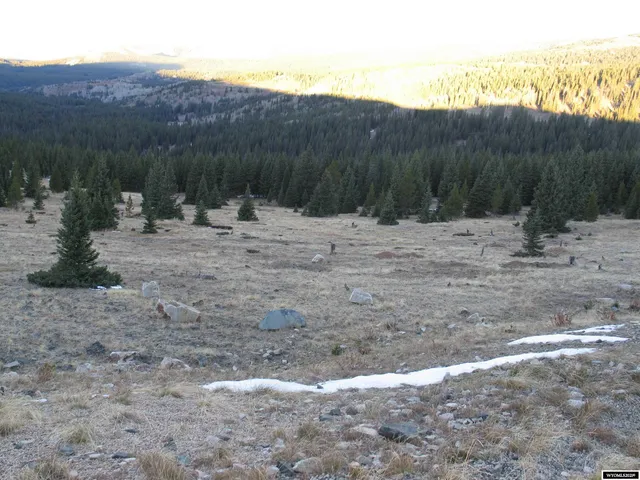 $420,000 | 70 Encampment Wy, Encampment, WY 82325