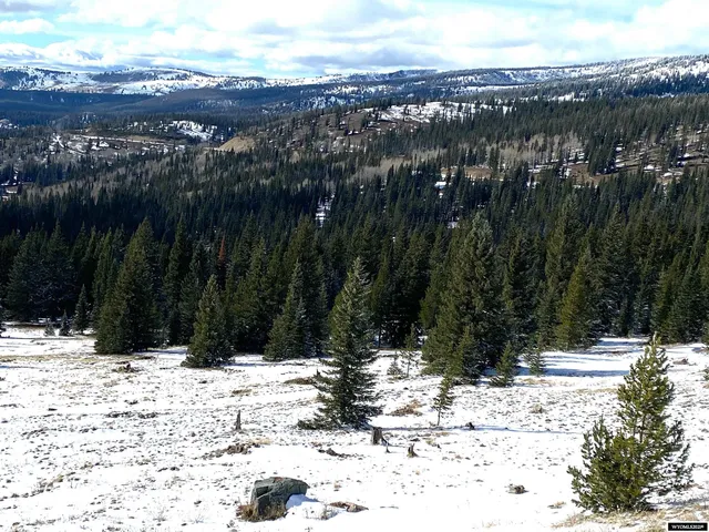 $420,000 | 70 Encampment Wy, Encampment, WY 82325