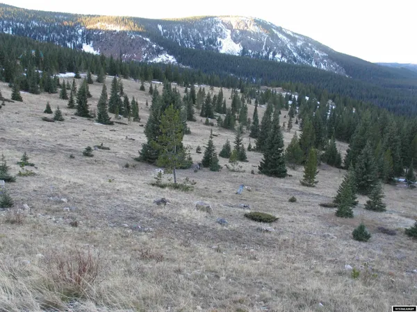 $420,000 | 70 Encampment Wy, Encampment, WY 82325