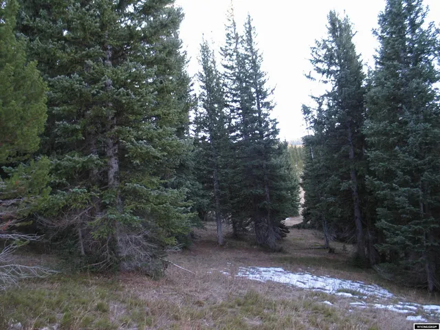 $420,000 | 70 Encampment Wy, Encampment, WY 82325