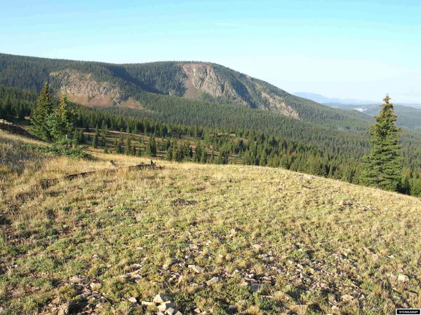 $420,000 | 70 Encampment Wy, Encampment, WY 82325