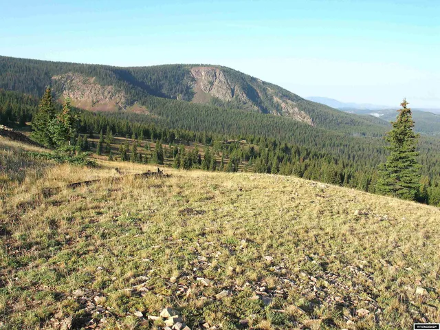 $420,000 | 70 Encampment Wy, Encampment, WY 82325