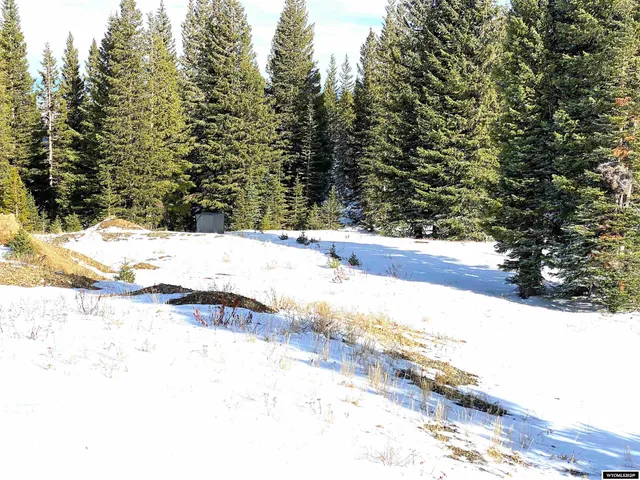 $420,000 | 70 Encampment Wy, Encampment, WY 82325