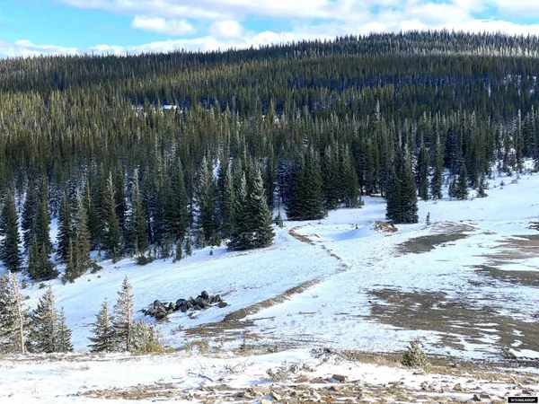 $420,000 | 70 Encampment Wy, Encampment, WY 82325