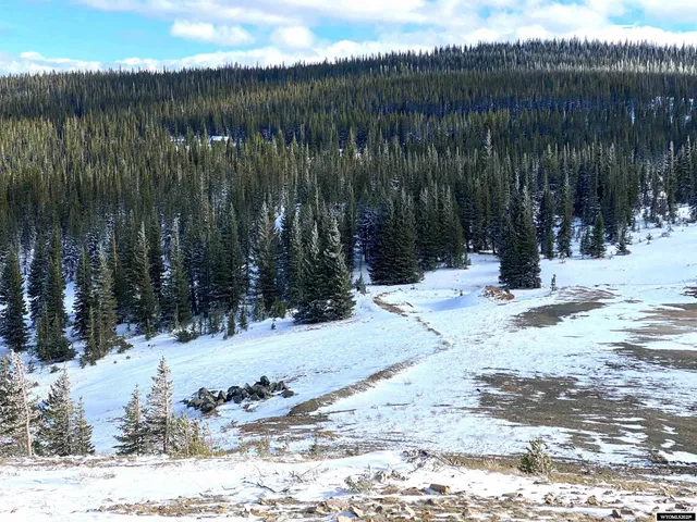 $420,000 | 70 Encampment Wy, Encampment, WY 82325