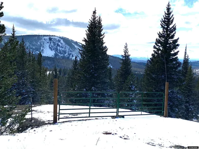 $420,000 | 70 Encampment Wy, Encampment, WY 82325