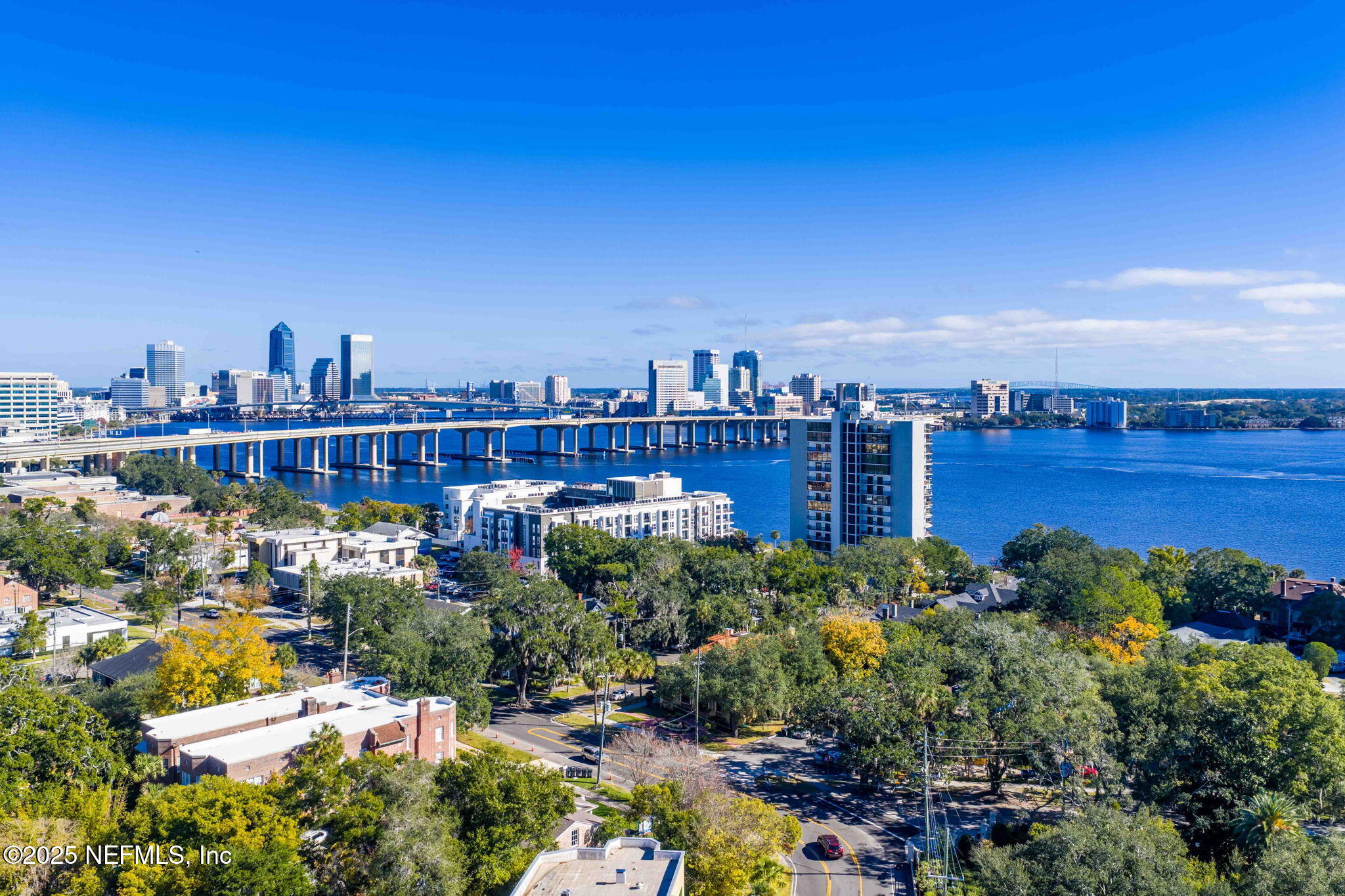 1661 Riverside Avenue, Unit 214 Jacksonville, FL 32204 - Photo 93 of 96 ISO 1661 Riverside Ave_Jax FL 093