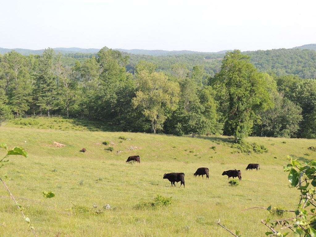 Tbd Martha's Knob Road, Unit 2 Galax, VA 24333 - Photo 20 of 32 Gallery Image 20