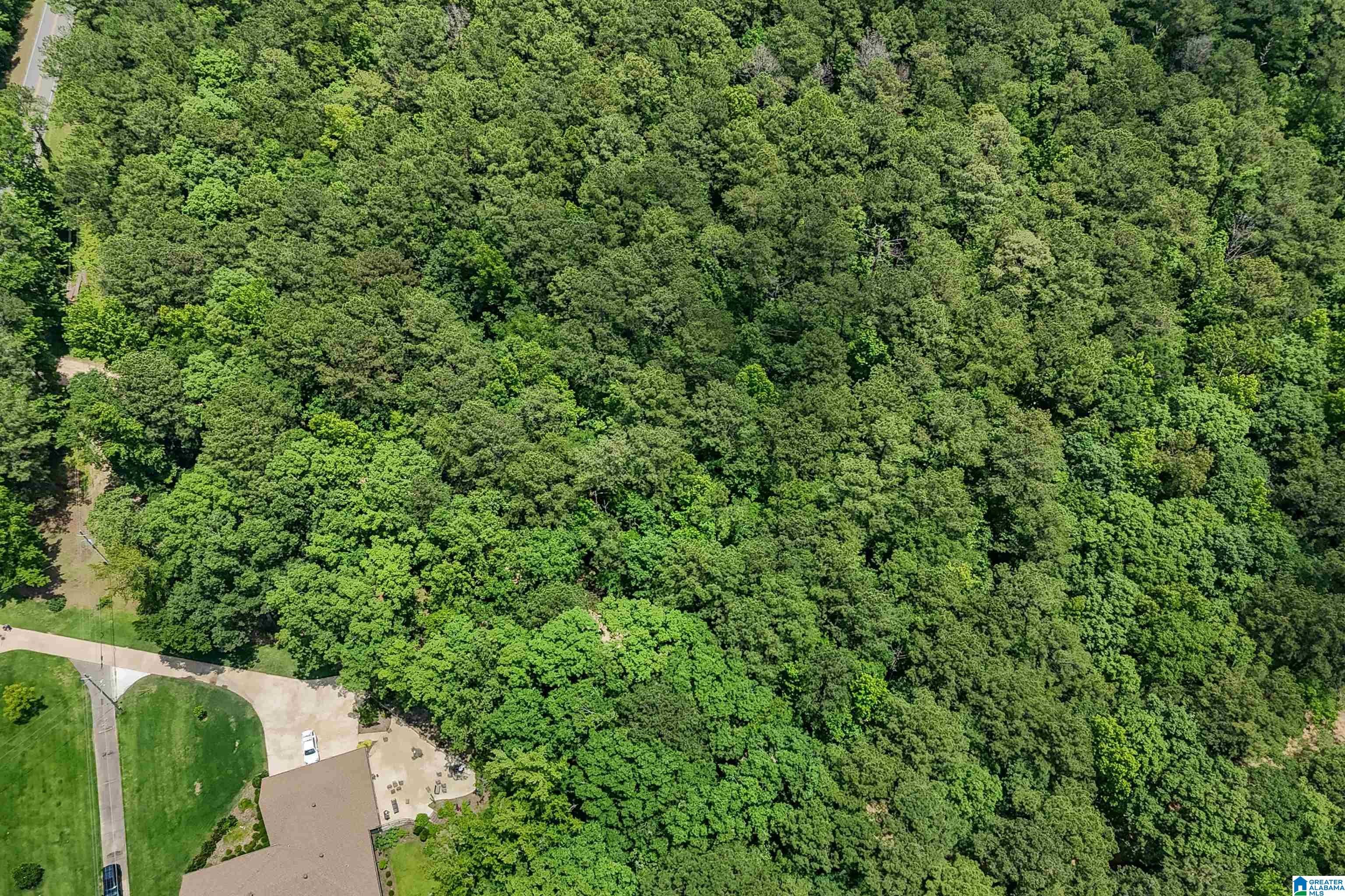 0 Red Oak Circle Helena, AL 35080 - Photo 7 of 21