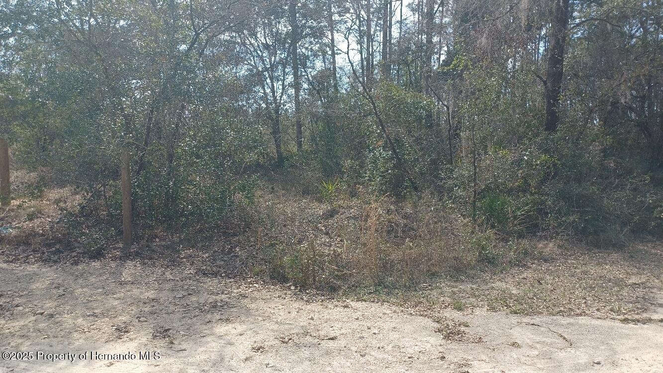 0 English Parrot Road Brooksville, FL 34614 - Photo 2 of 4