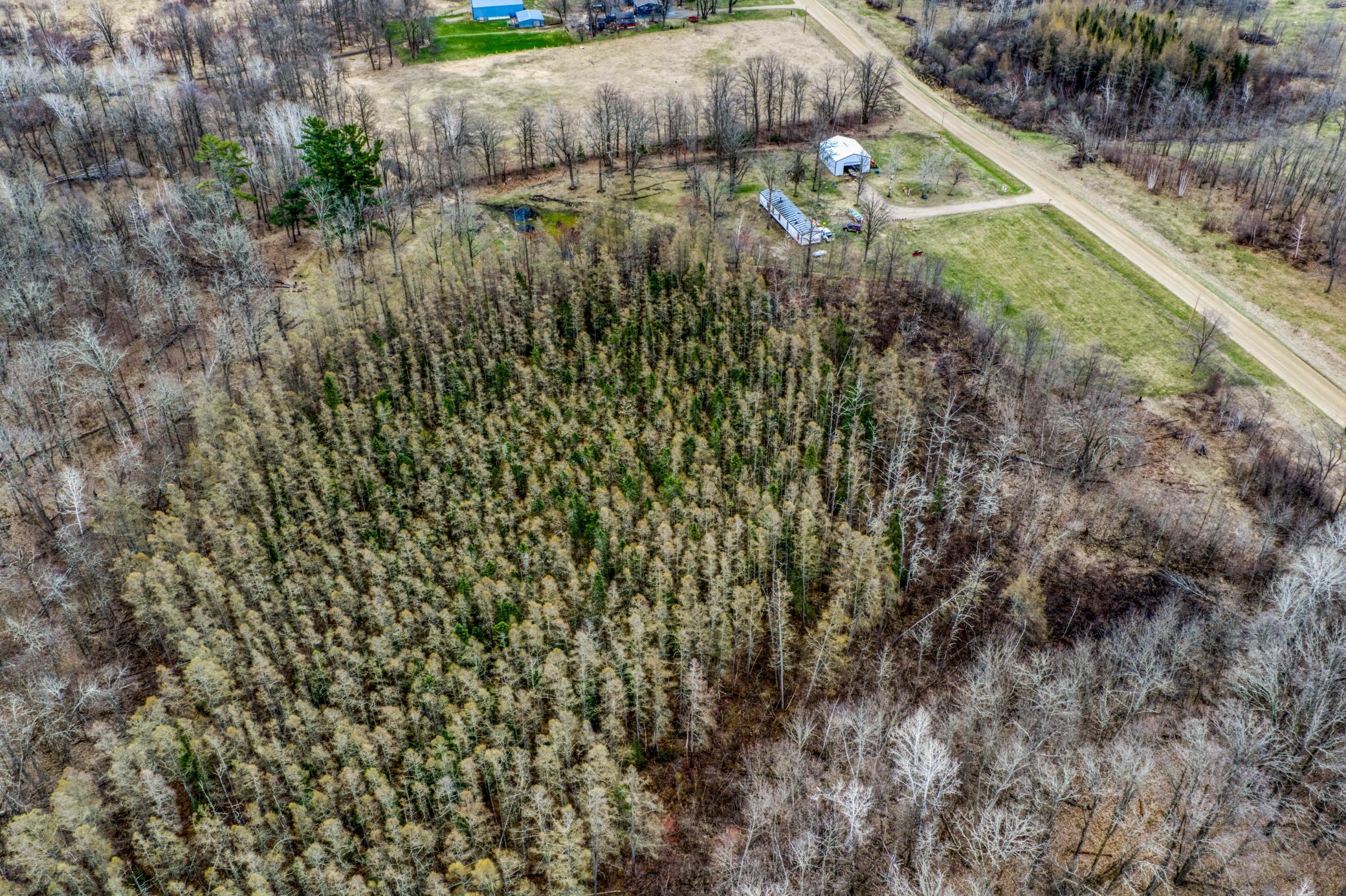 13217 Beaver Road Northeast Bemidji, MN 56601 - Photo 9 of 25