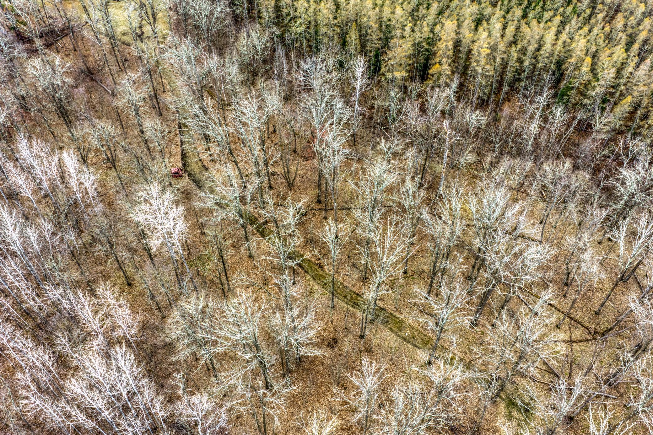 13217 Beaver Road Northeast Bemidji, MN 56601 - Photo 10 of 25