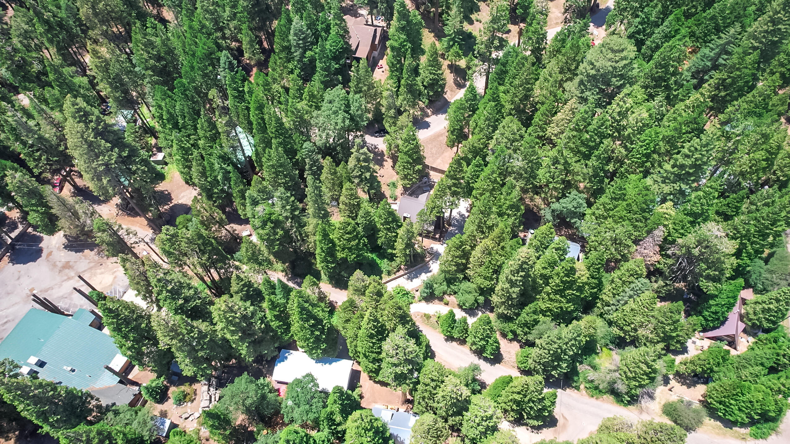 11809 Pine Drive Wofford Heights, CA 93285 - Photo 7 of 33 a view of a garden