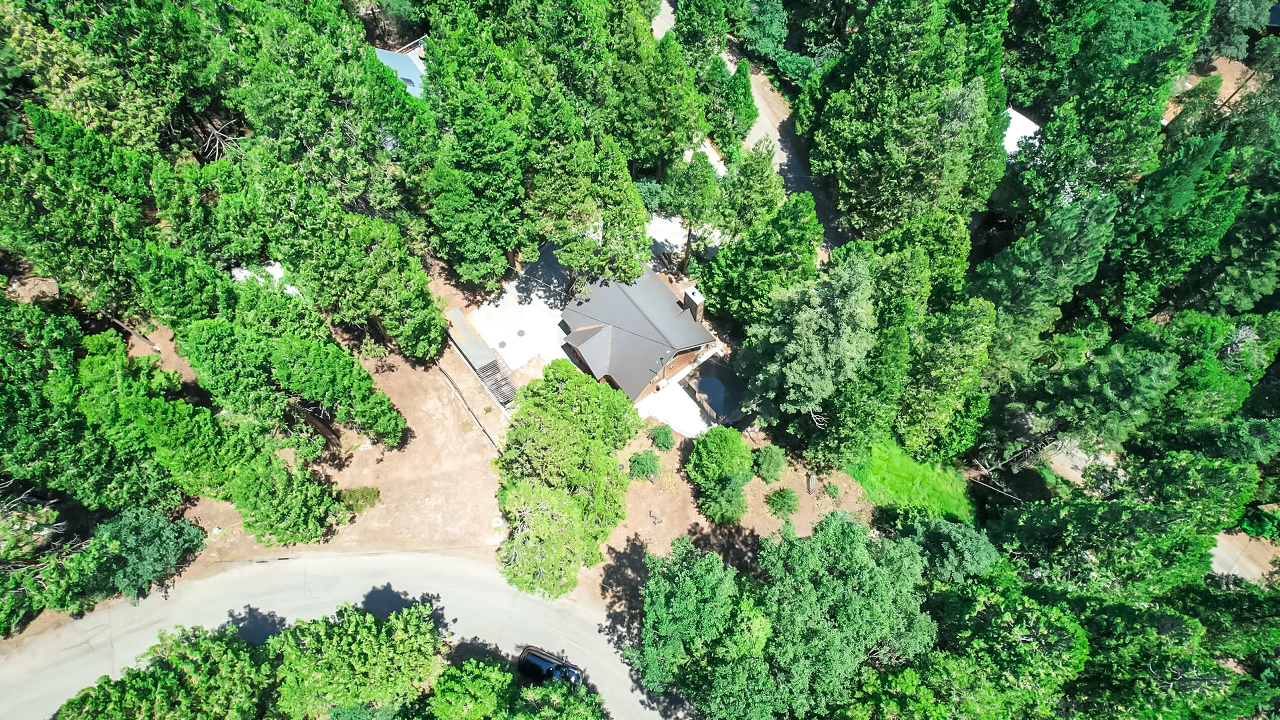 11809 Pine Drive Wofford Heights, CA 93285 - Photo 8 of 33 an aerial view of residential house with outdoor space and trees all around