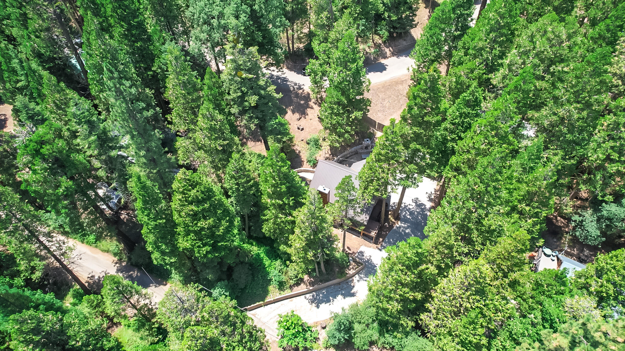 11809 Pine Drive Wofford Heights, CA 93285 - Photo 9 of 33 a backyard of a house with lots of green space