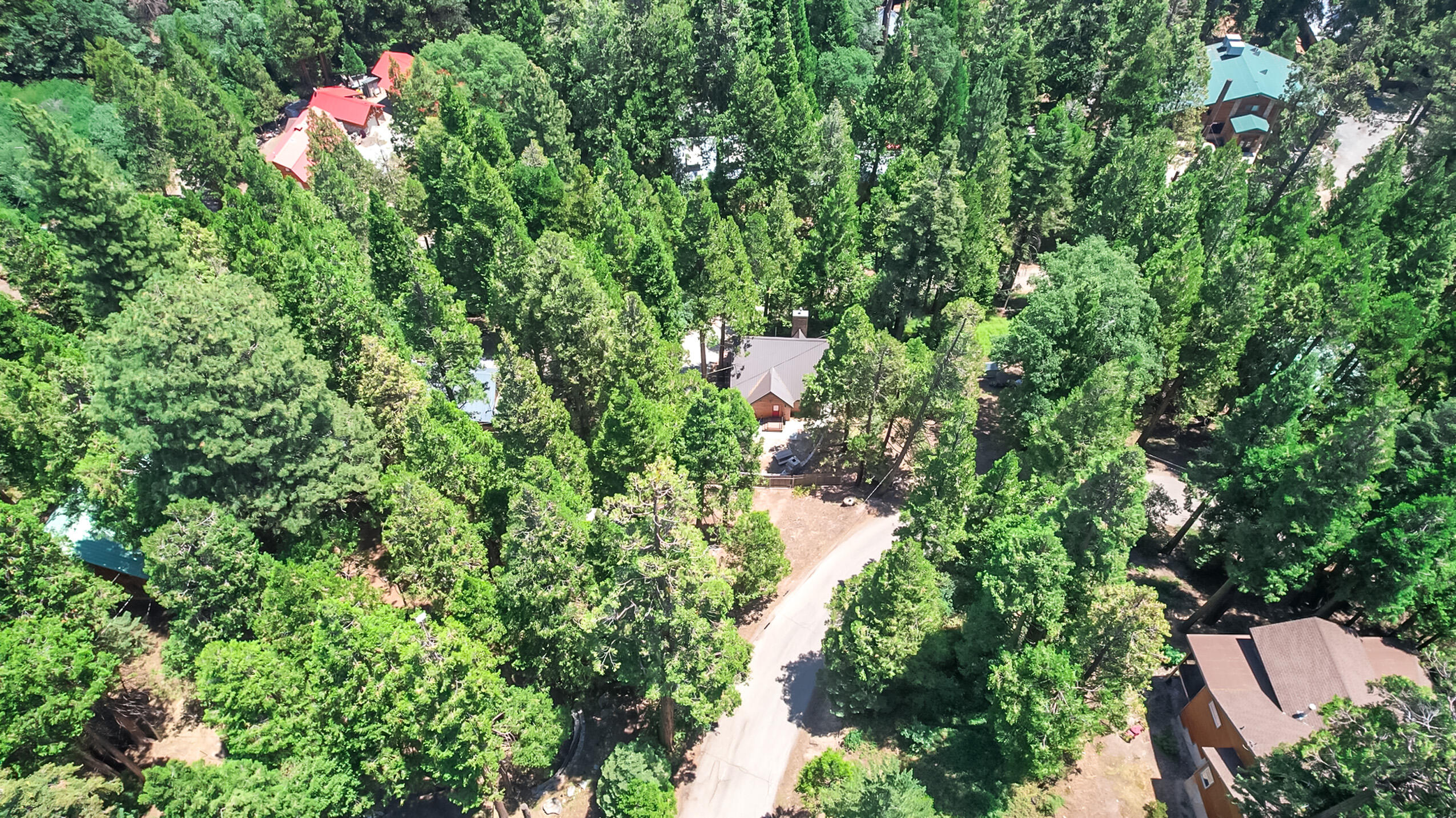11809 Pine Drive Wofford Heights, CA 93285 - Photo 10 of 33 an aerial view of residential house with outdoor space and trees all around