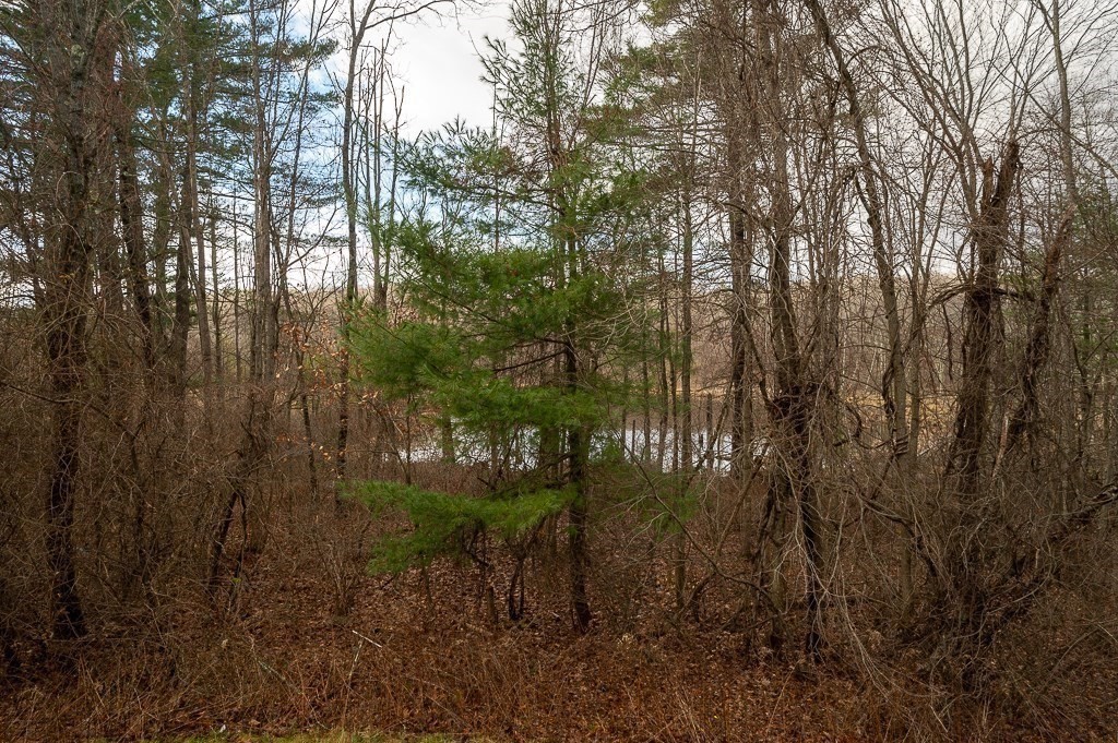 557 Cronin Road Warren, MA 01585 - Photo 23 of 28 a view of forest