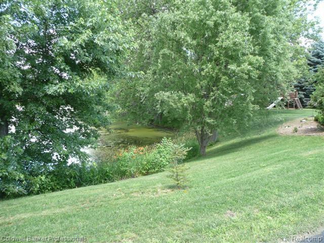 8750 Miller Road Clarkston, MI 48348 - Photo 17 of 17 Pond