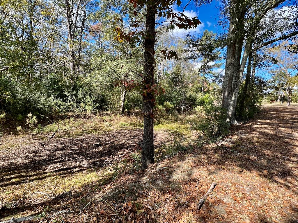 1531 Hornsby Road Samson, AL 36477 - Photo 40 of 41