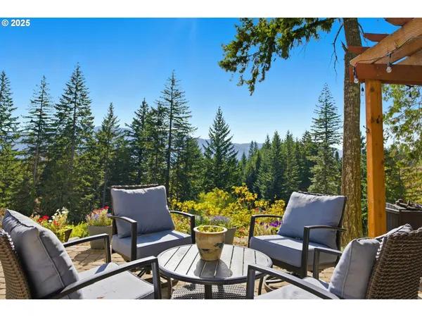 a view of a backyard with a large tree and wooden fence