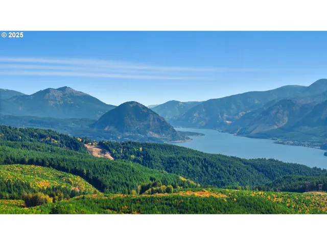 a view of a dry yard with mountains in the background