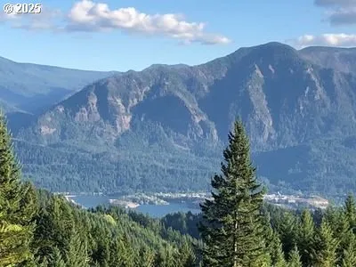 a open area with mountains in the background