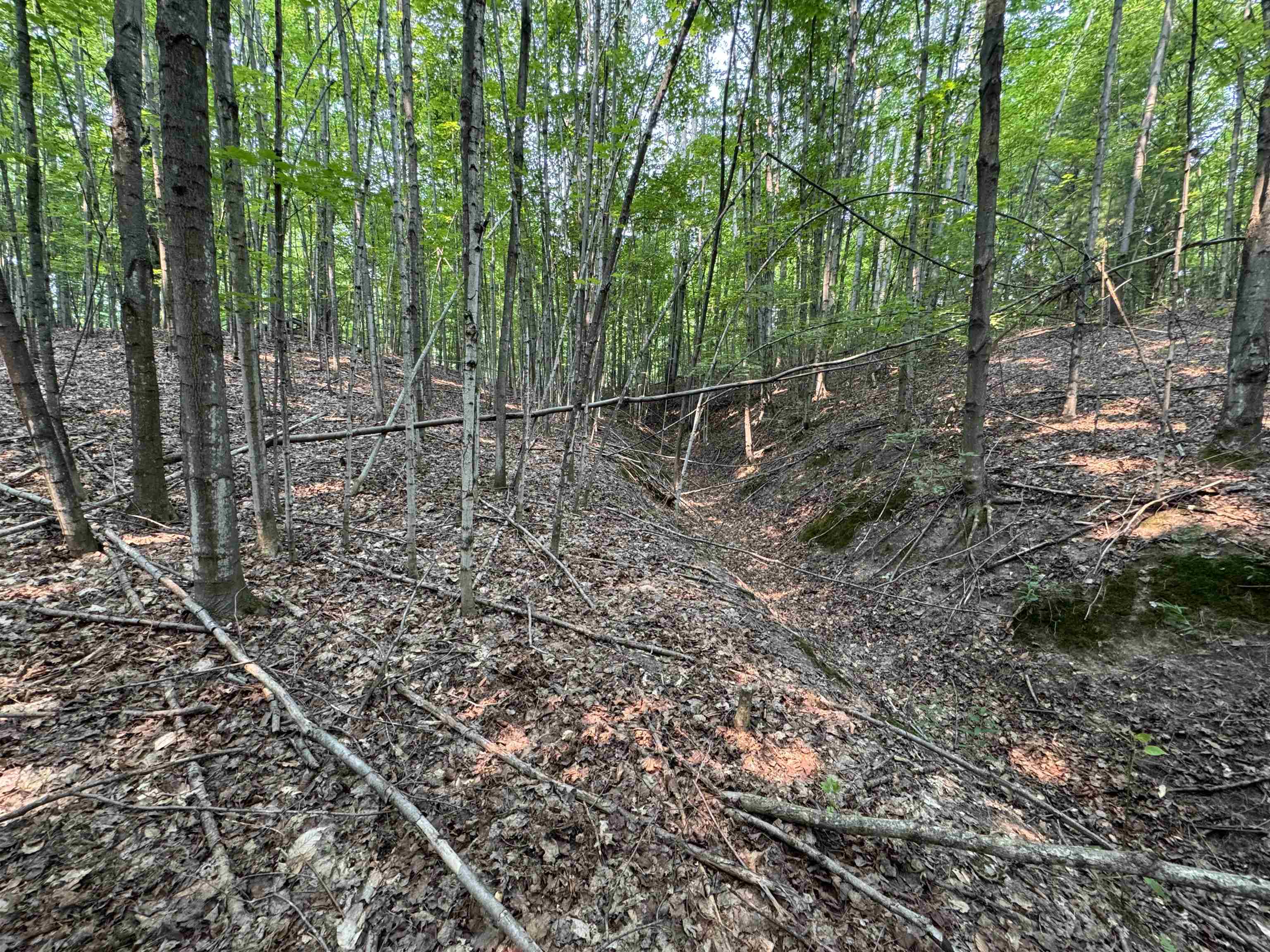Lot #3 East Bellinger Road, Unit BELLINGER ESTATES Cedar, MI 49621 - Photo 7 of 15
