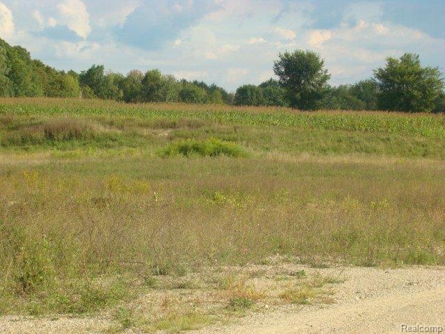2105 West Barnes Road Fostoria, MI 48435 - Photo 9 of 9 75 acres Barnes Rd. 006