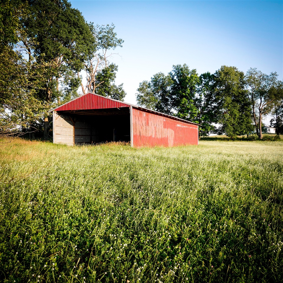 11758 Monroe Road Morley, MI 49336 - Photo 23 of 25 Gallery Image 23