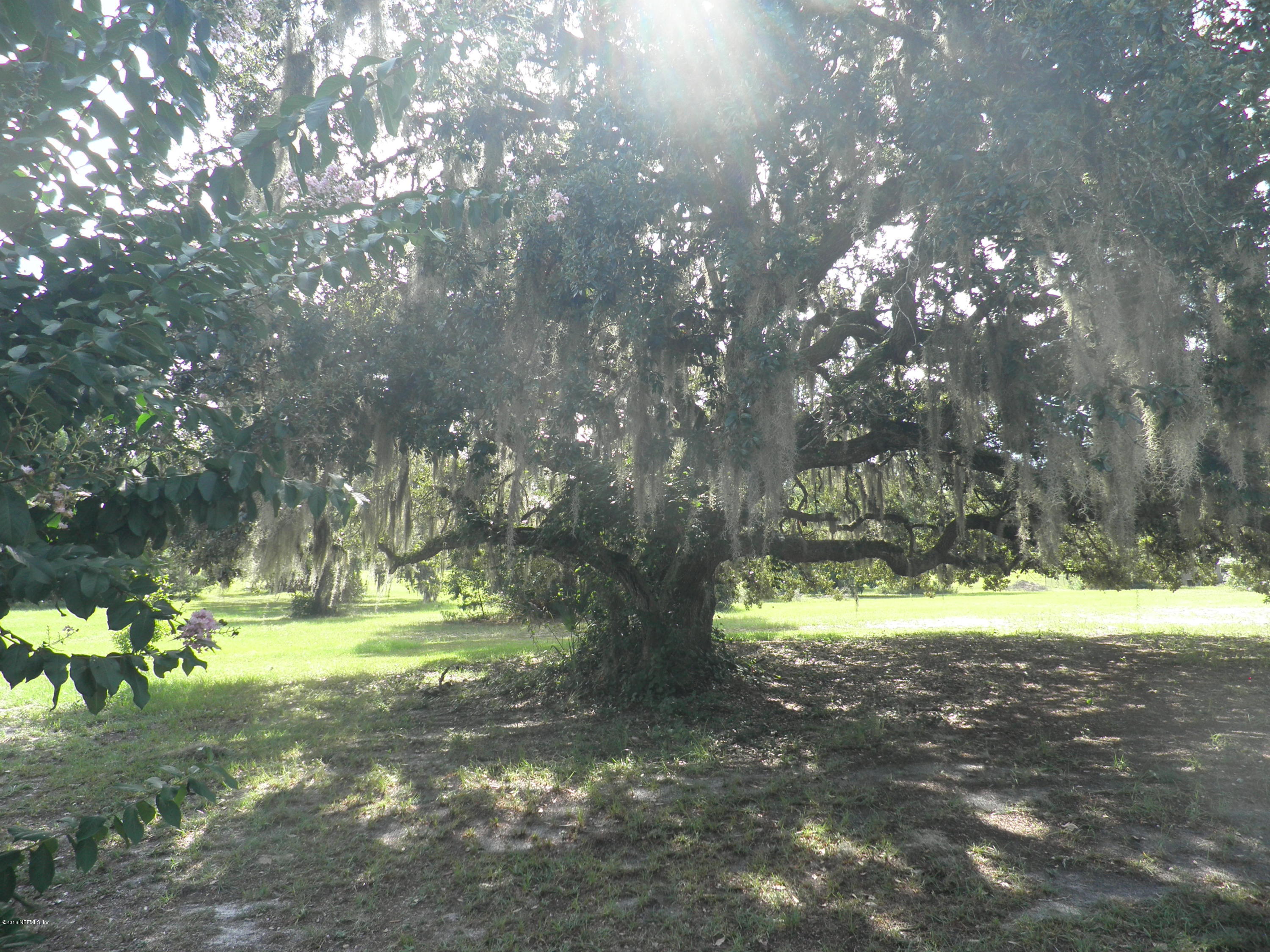 268 Beulah Church Road Welaka, FL 32112 - Photo 32 of 33 a view of outdoor space with trees all around