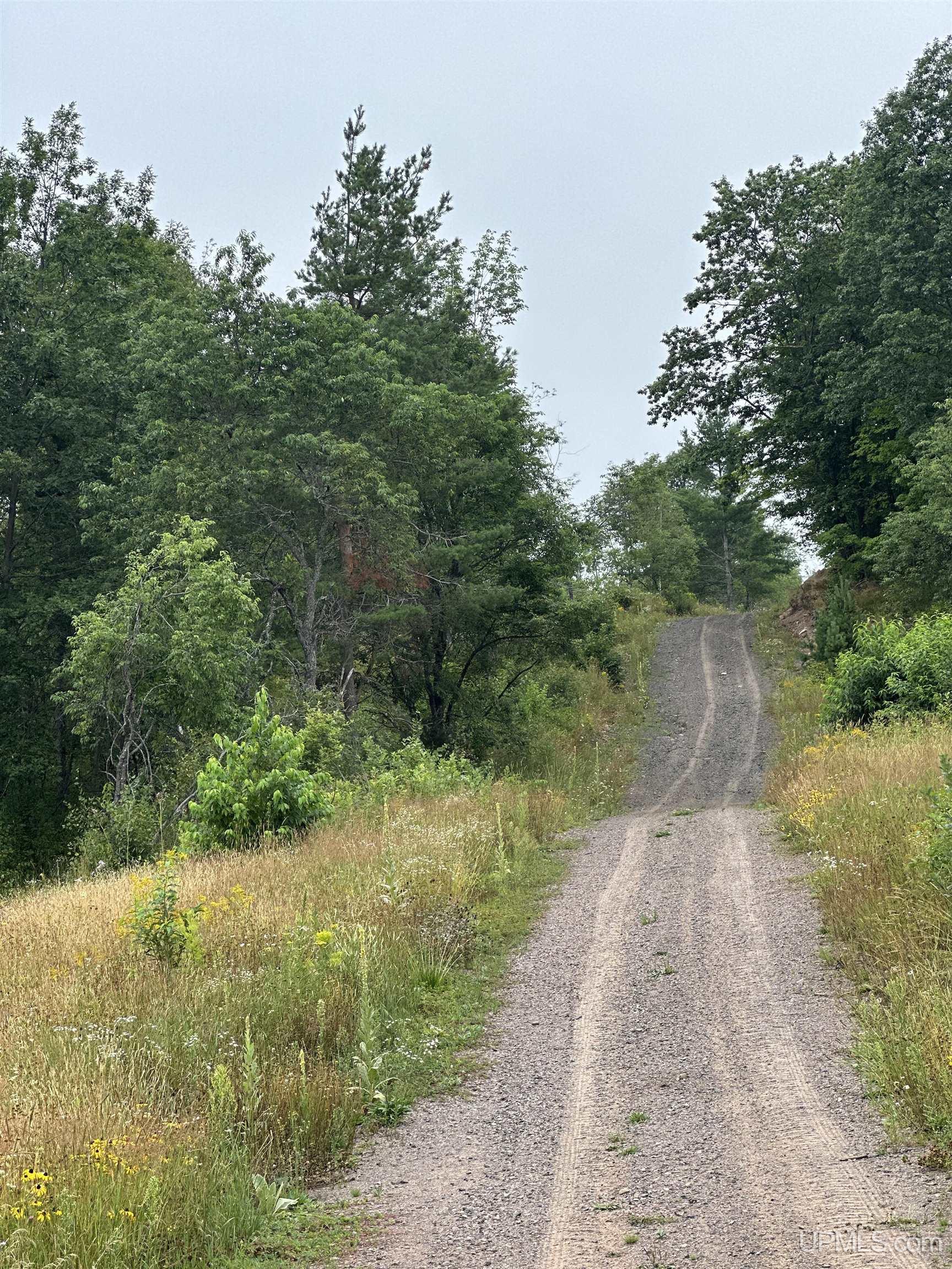 Tbd Co Rd 496 (b) Road, Unit PARCEL B Champion, MI 49814 - Photo 13 of 33