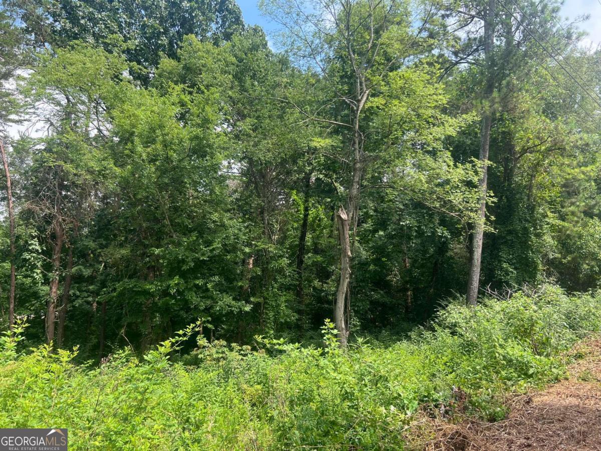 0 South Potash Road Cedartown, GA 30125 - Photo 1 of 1 Gallery Image 1