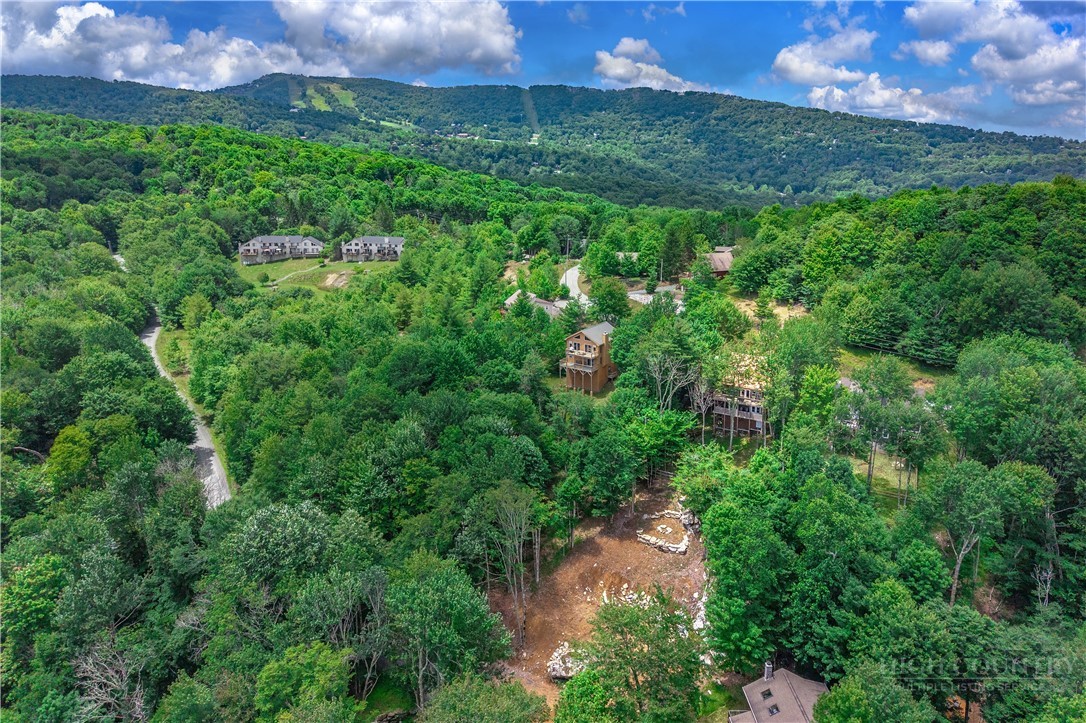 108 Windridge Road Beech Mountain, NC 28604 - Photo 46 of 49