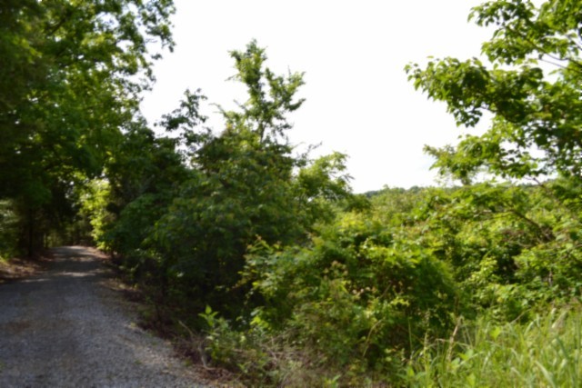 0 Beauchamp Road Burkesville, KY 42717 - Photo 5 of 41