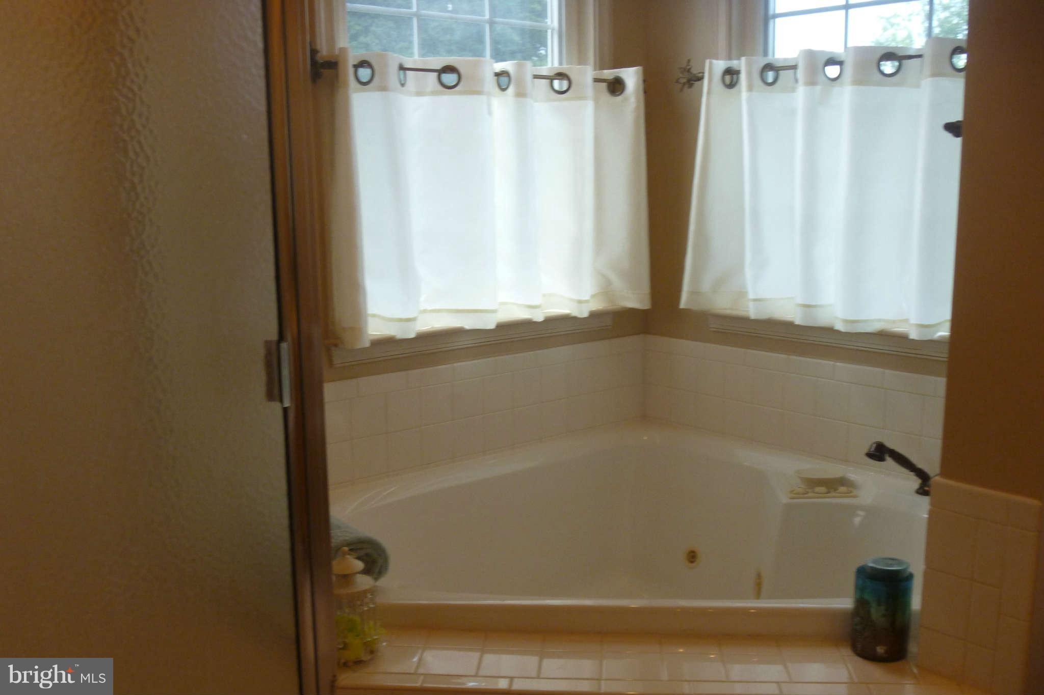 1199 Poole Road Westminster, MD 21157 - Photo 23 of 30 Bath Master