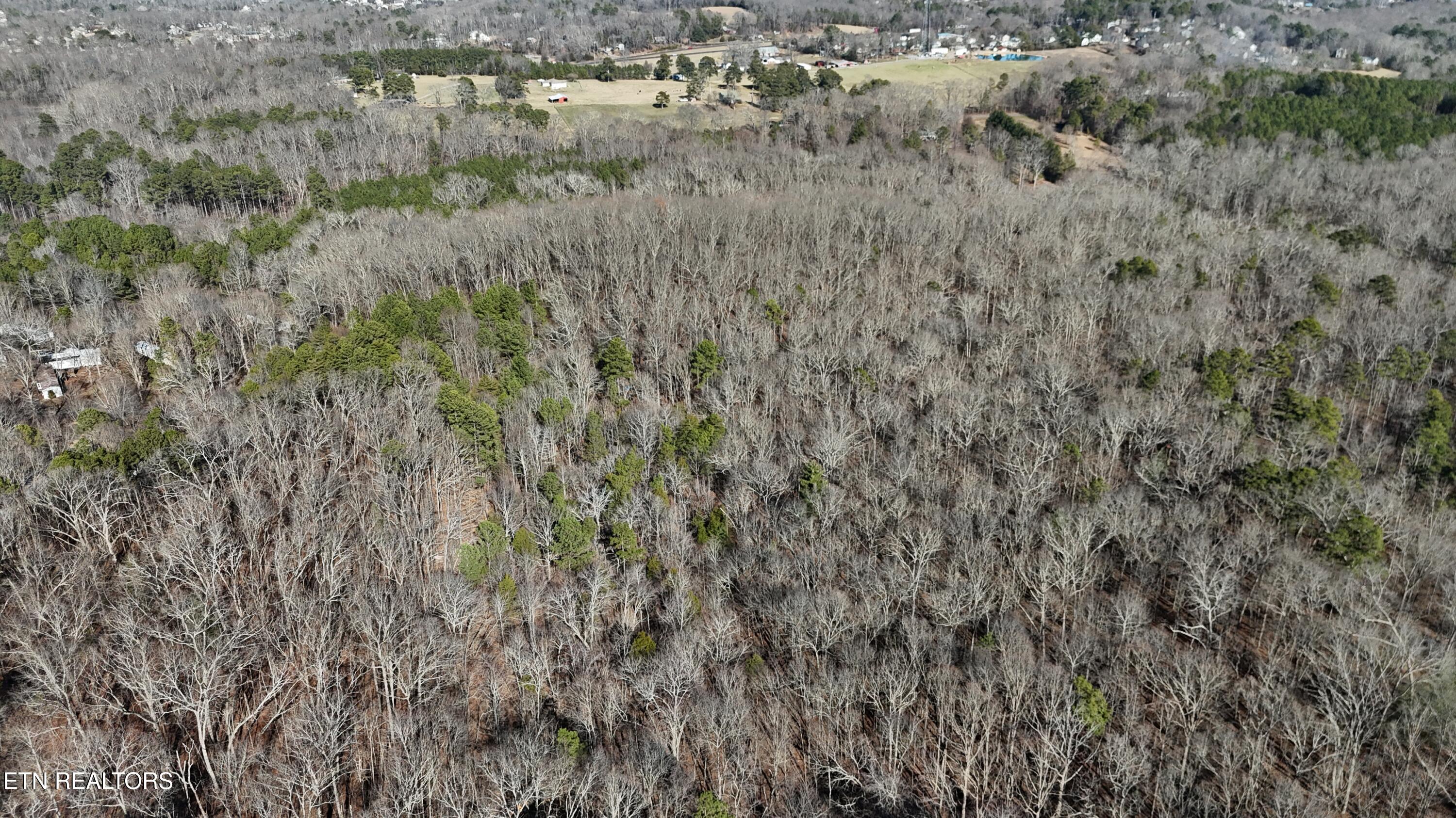 4475 Bates Pike Southeast Cleveland, TN 37323 - Photo 12 of 13 dji_fly_20260119_142110_0038_17688559110