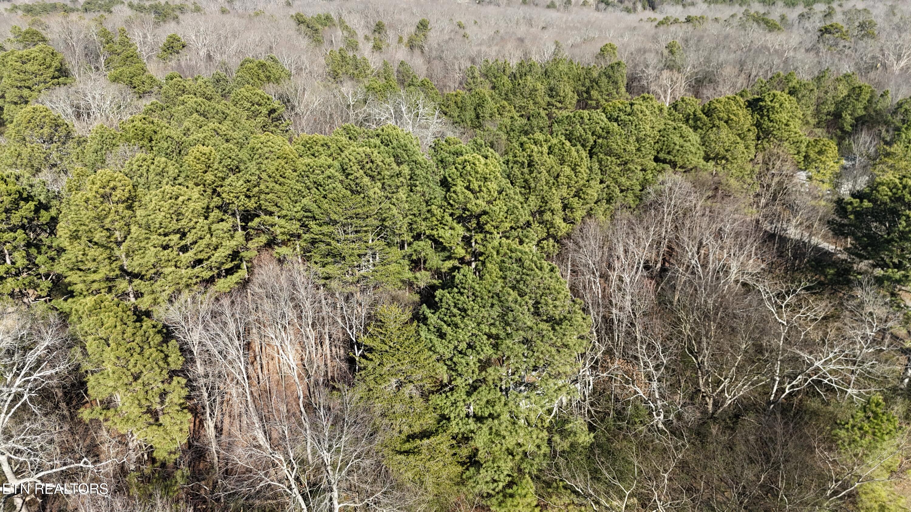 4475 Bates Pike Southeast Cleveland, TN 37323 - Photo 8 of 13 dji_fly_20260119_142016_0035_17688559399