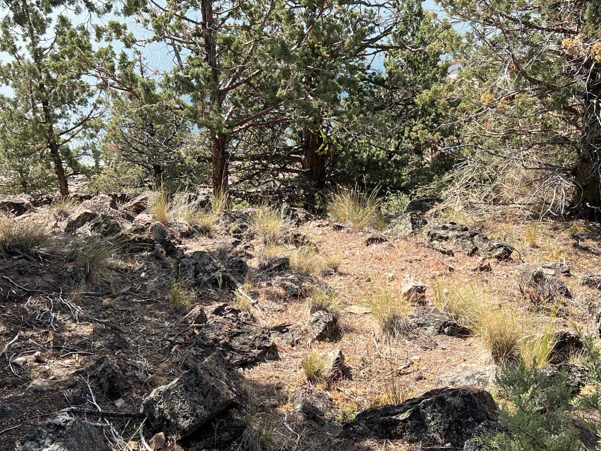 9-2 Lot 158 Elk Ridge Road Weed, CA 96094 - Photo 5 of 41 Gallery Image 5