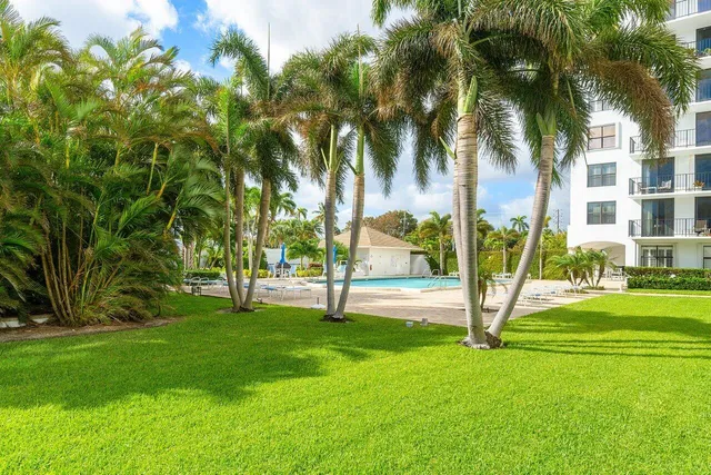 a view of a park with palm trees