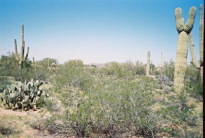 0 East Powerline Road Marana, AZ 85653 - Photo 7 of 10