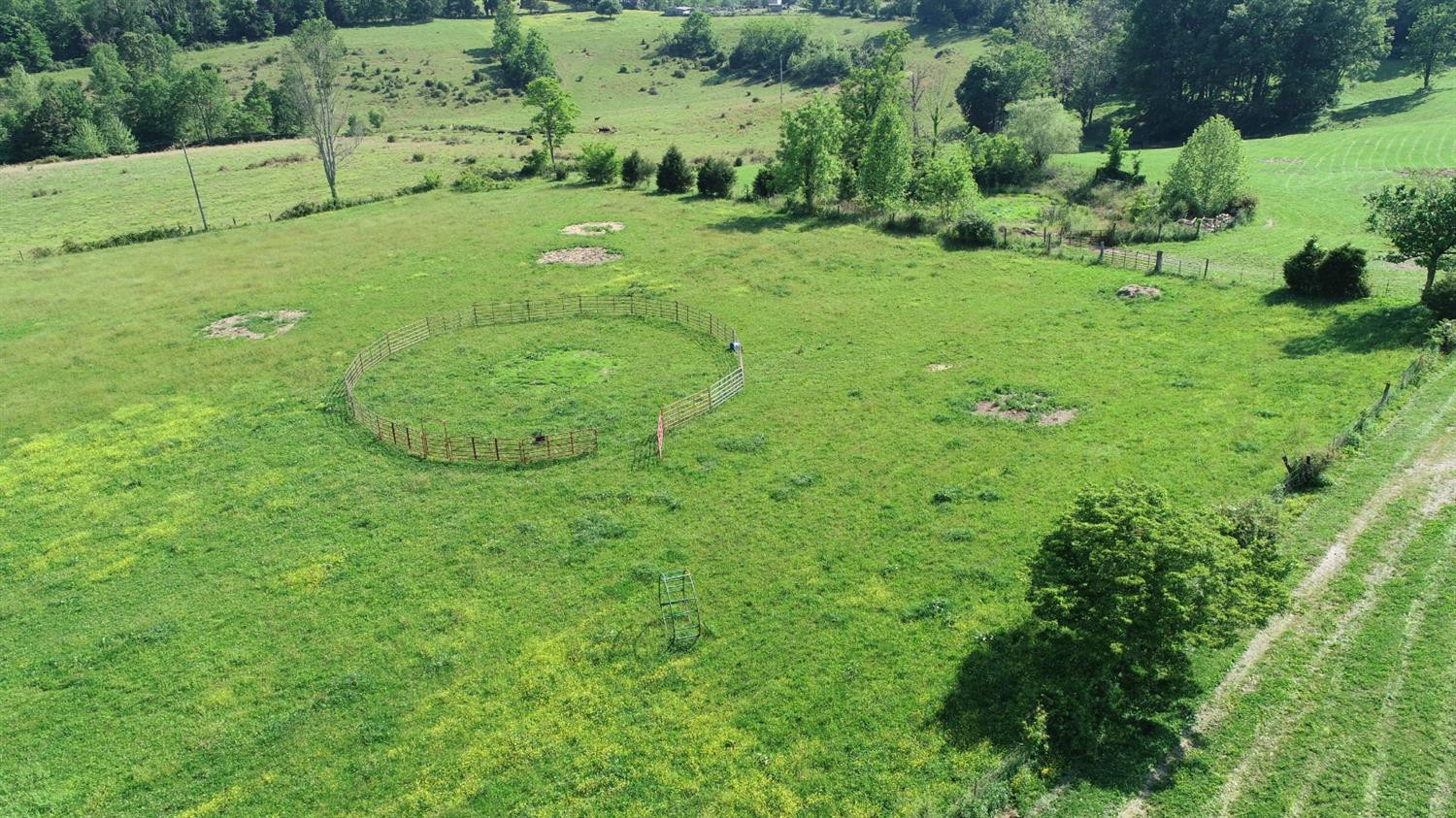 378 Cal Wiles Road Science Hill, KY 42553 - Photo 65 of 67 Photo 66