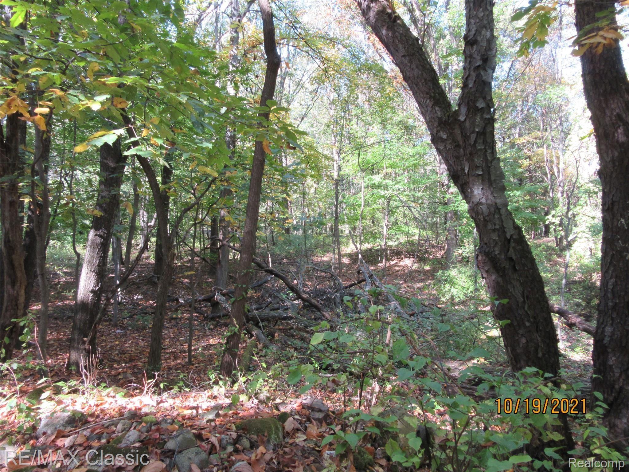 1660 West Wardlow Road Highland, MI 48357 - Photo 28 of 30 1660 W Wardlow 022.JPG