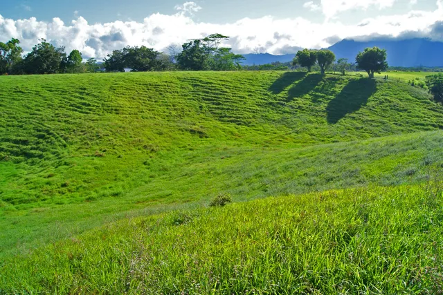 $2,000,000 | Olohena Road, Kapaa, HI 96746