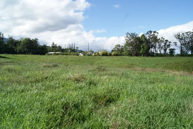 $2,000,000 | Olohena Road, Kapaa, HI 96746