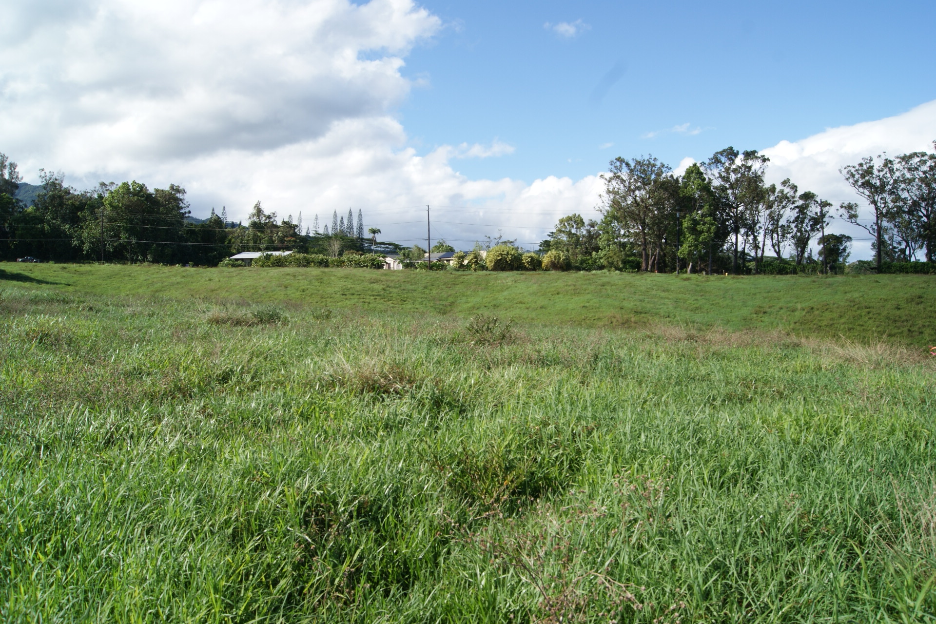 6555 Olohena Road Kapaa, HI 96746 - Photo 12 of 13 a view of an outdoor space and a yard
