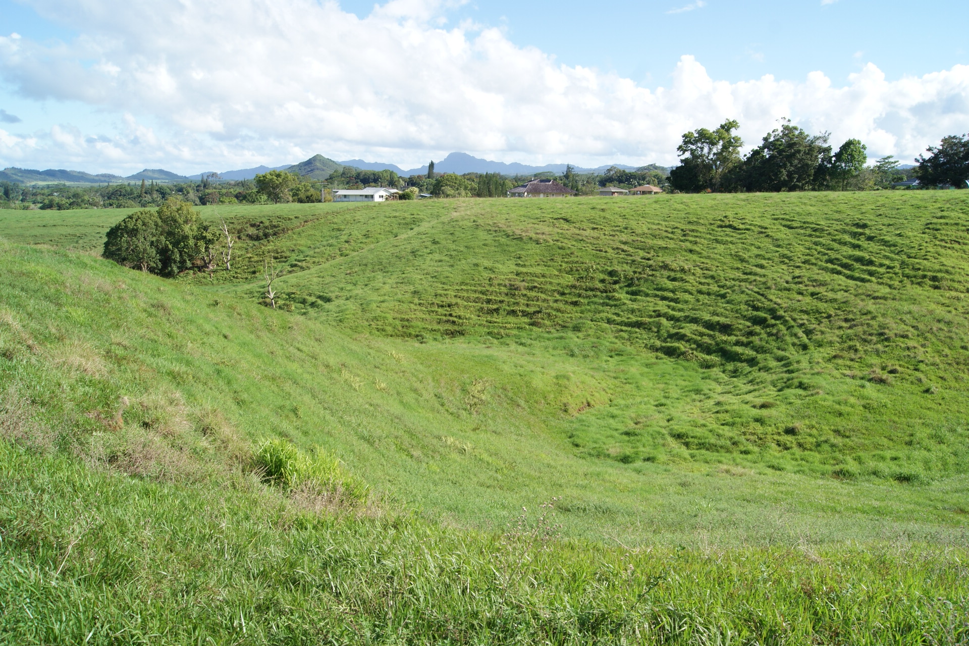 6555 Olohena Road Kapaa, HI 96746 - Photo 13 of 13 a view of a green field with lots of trees